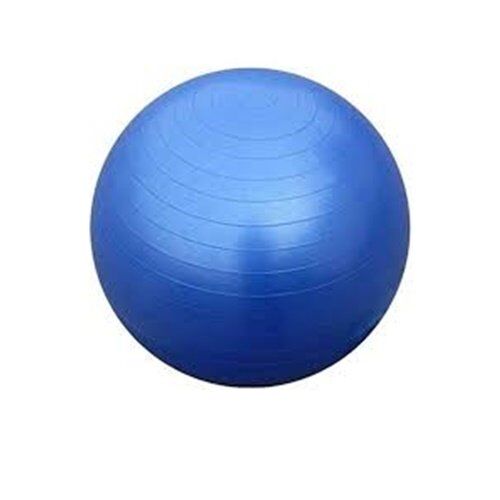 Gym Fitness Ball